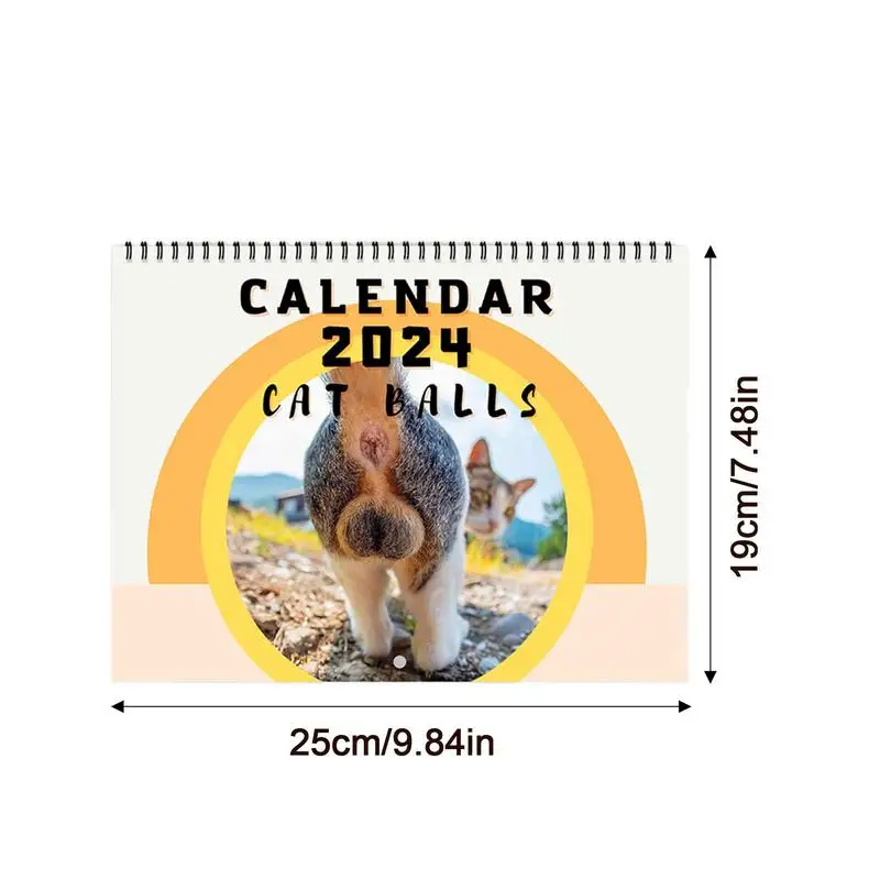 Cat топка календар Смешни котки календар дебела хартия месечен котка стена календар сладък котка задници календар за дома Офис & училище5